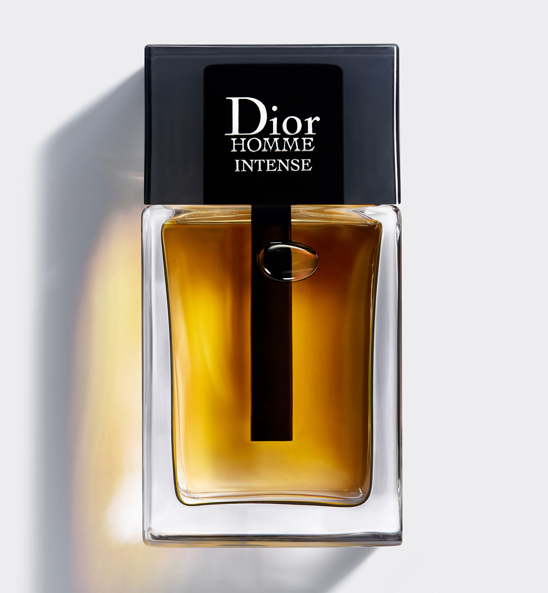 Dior Homme Intense for men 2011 Linh Perfume